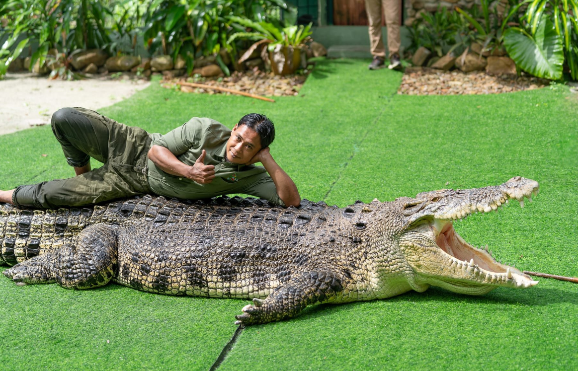 man lying on a crocodile