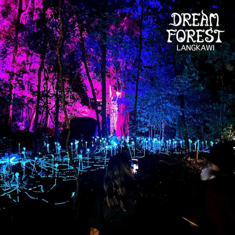 Dream Forest Langkawi Booking Online