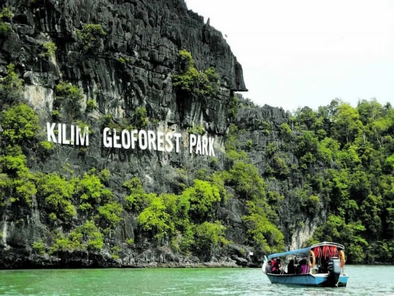 Top Tourist Attractions in Langkawi Mangrove Tour