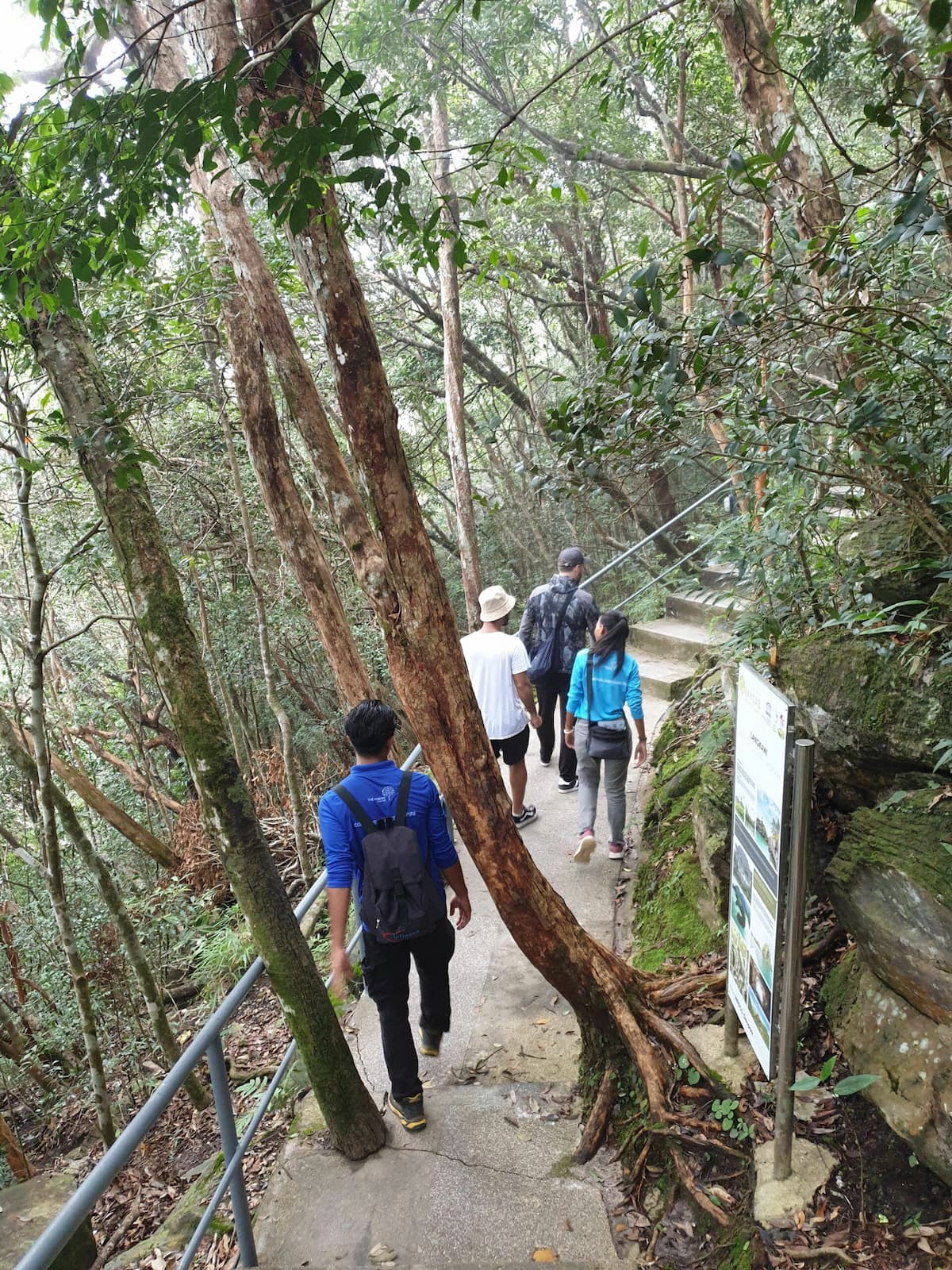 best langkawi hiking trail langkawi skytrail