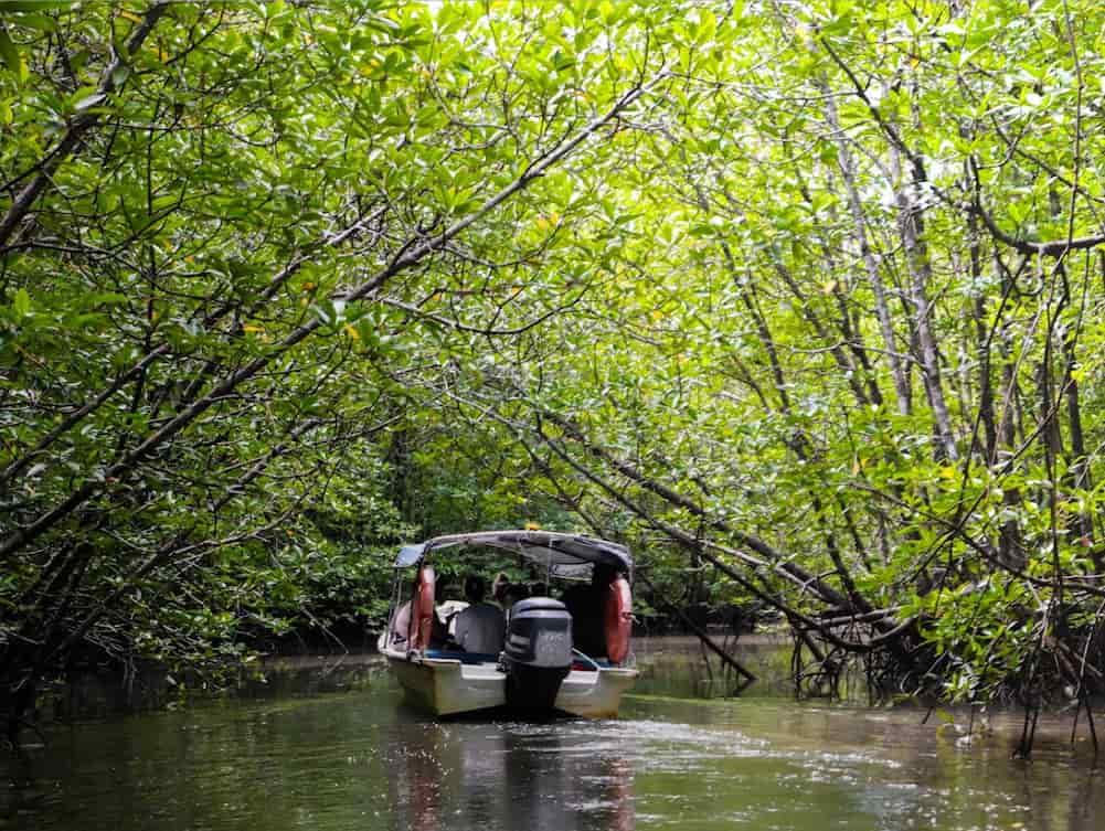 Activities at Kubang Badak Langkawi UNESCO GeoPark Cruise
