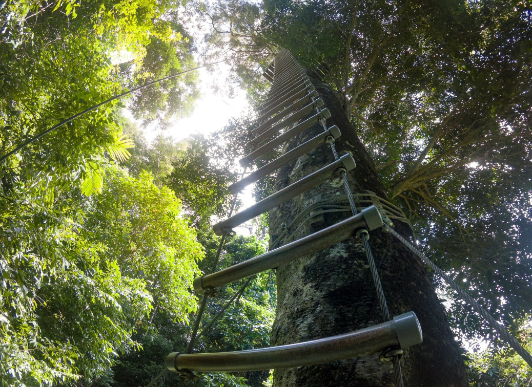 Skytrex Adventure Langkawi Ladder