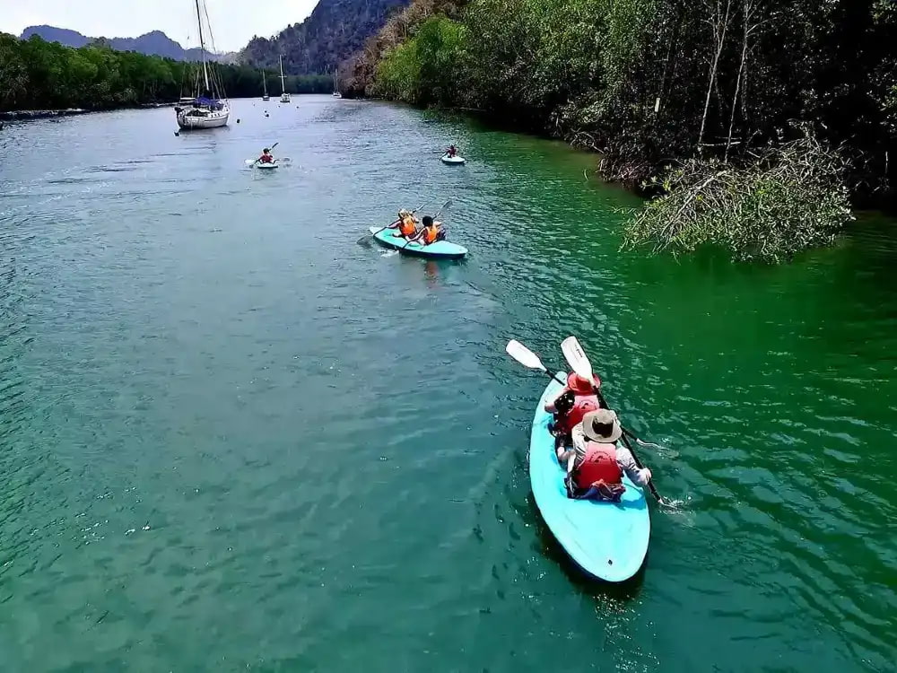 9 Best Beach Activities langkawi mangrove kayaking