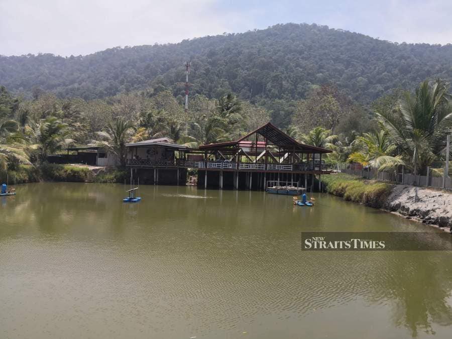 Where to Eat in Kubang Badak Langkawi Crab Farm Langkawi