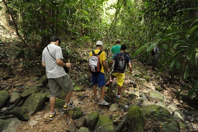 langkawi outdoor activity jungle trekking