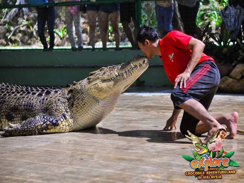 things to do in langkawi - crocodile adventureland