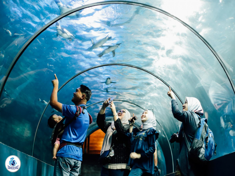 things to do in langkawi - underwater world langkawi