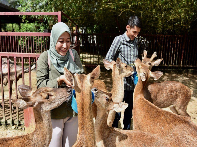 langkawi wildlife park