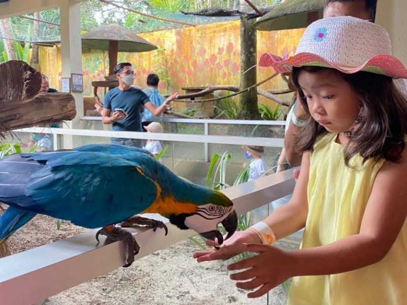 Tour langkawi