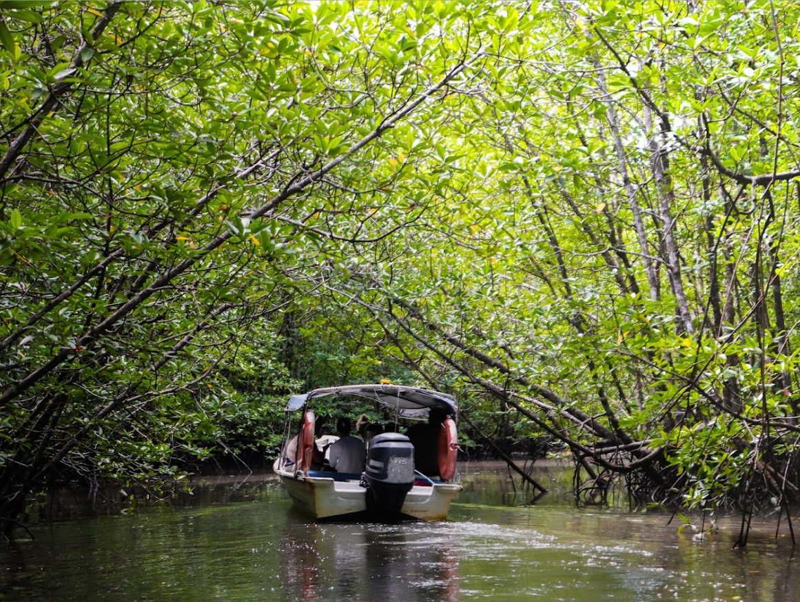 Kubang Badak Unesco Geopark Booking Online