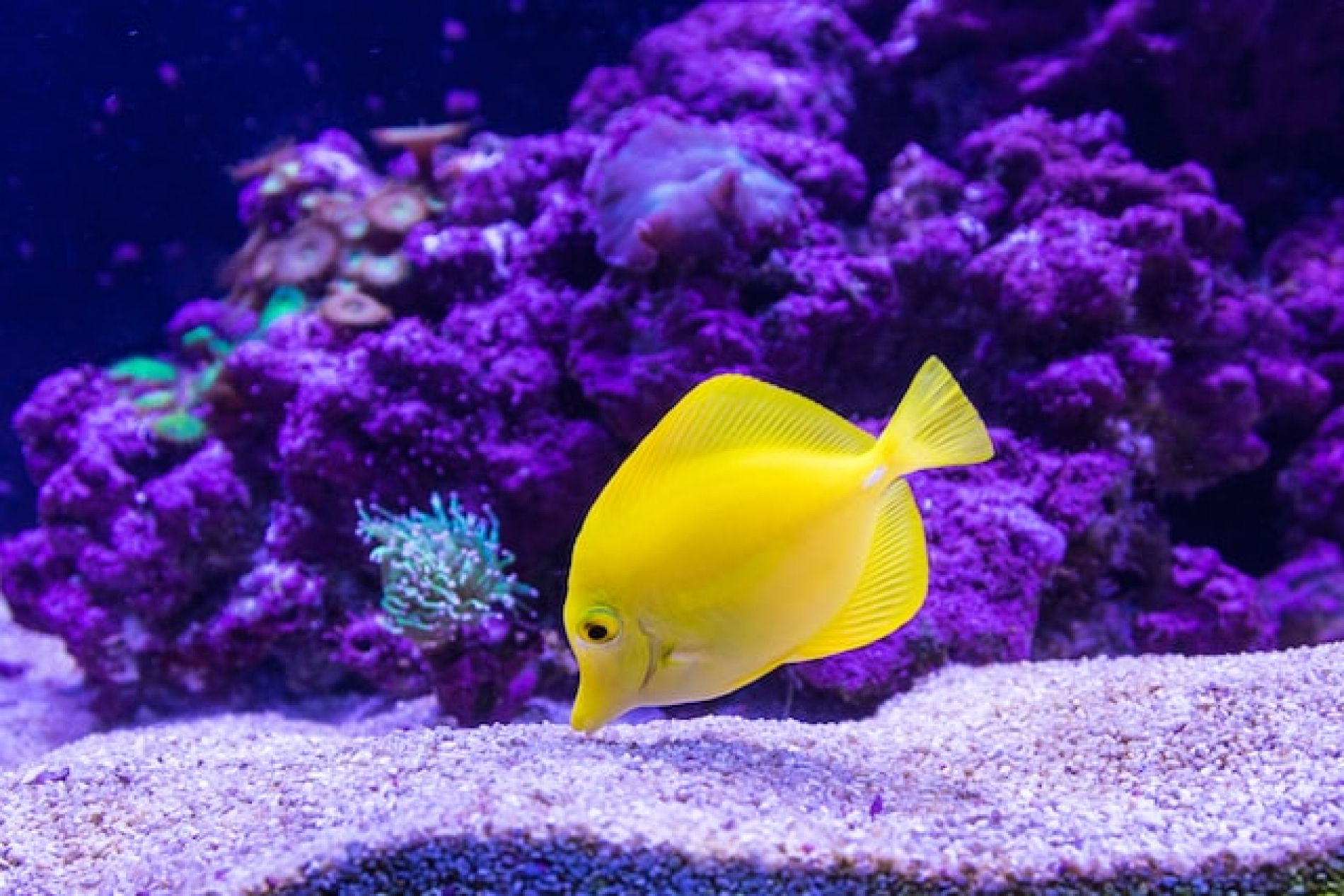 Underwater World Langkawi Booking Online
